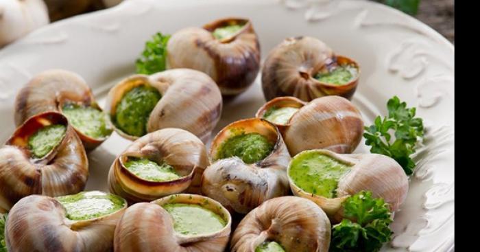 Trafic d escargots