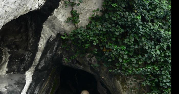 Je vais partir à Lourdes et me faire bonne soeur dans le calme et le sérénité