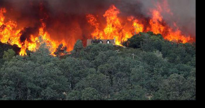 Incendie au jardin botanique