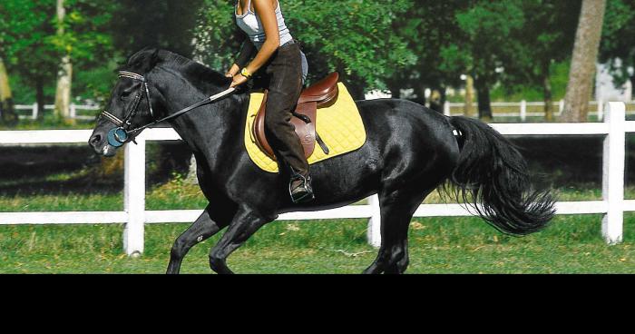 Jade Lindemann finit première aux Championnats du Monde d'Equitation !