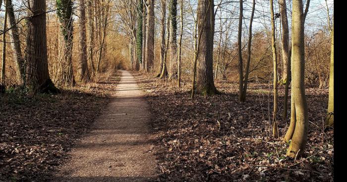 Il trouve un trésor dans les marais de Glisy