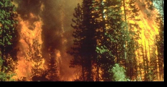 Feu de forêt: La Seyne sur Mer encerclé par les flammes