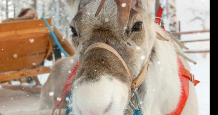 Un pere-noel aurait ete vue parker en double au metro longeuil