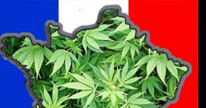 Le cannabis est désormais légal en France