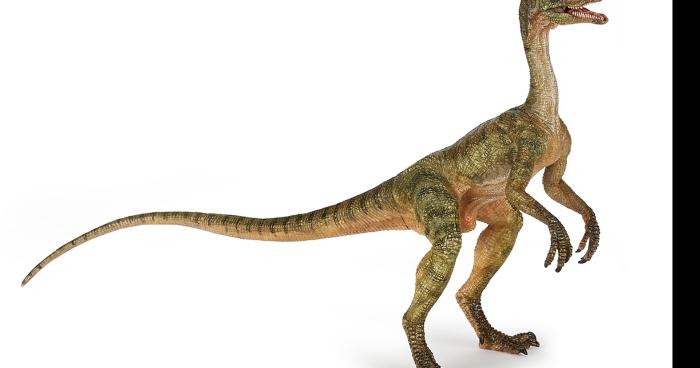 Un dinosaure vivant découvert en Valais !