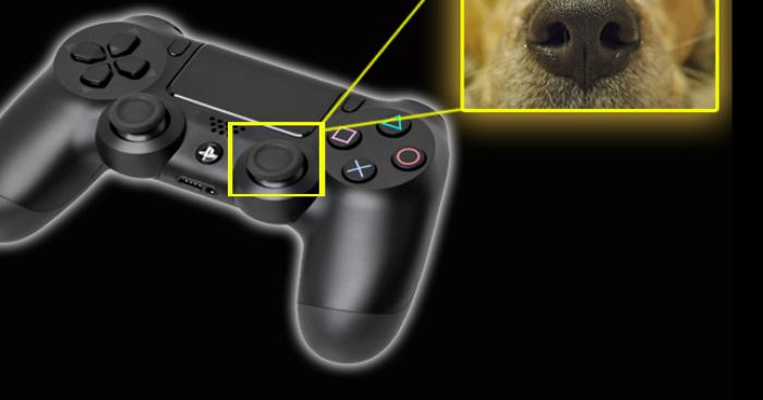 Sony utilise des nez de chiens pour créer leur fameux joysticks