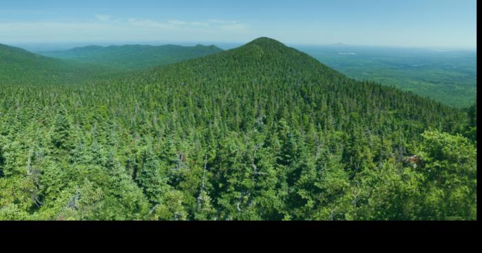 Produit Forestier Résolu quitte le Québec