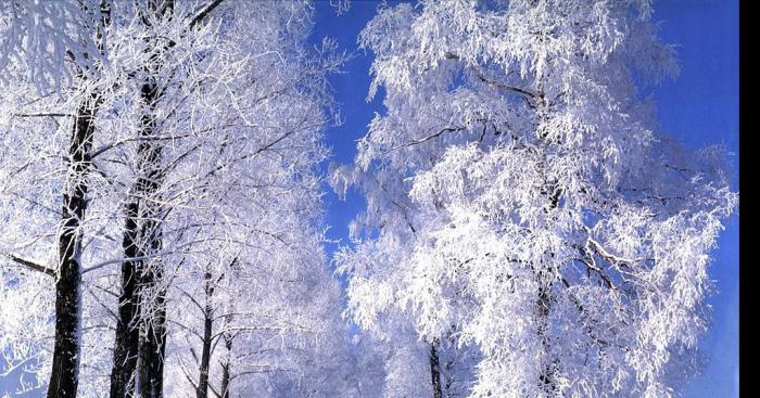 1Mètre de Neige prévu pour lundi