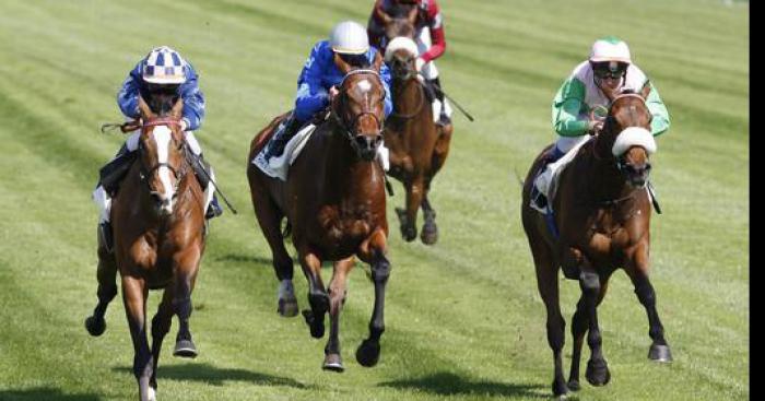 Le meilleur cheval de courses au Canada est de Chambly.