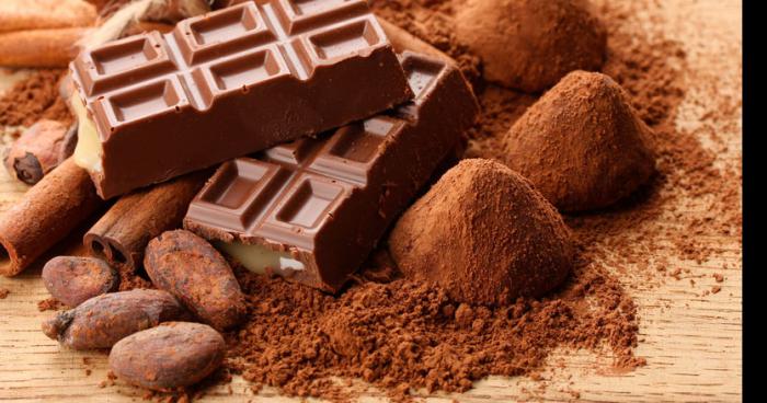 Cacaoyiers en voie de disparition; le Québec à la rescousse!