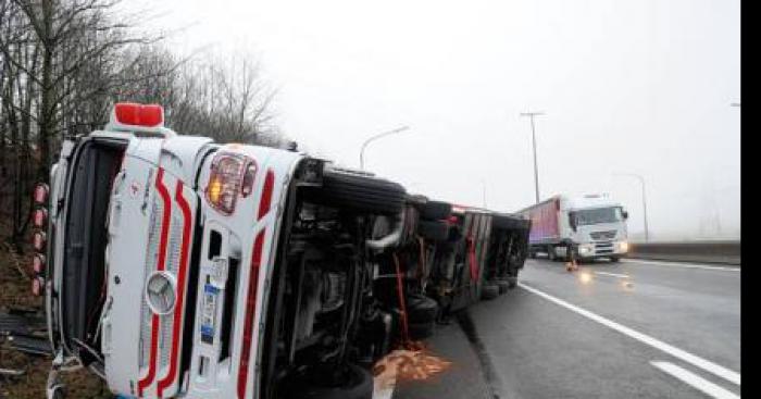 Un camion transportant des Mygales, renversé sur l'autoroute