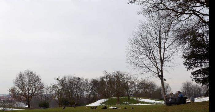 Interdiction De manger dans les parc VOYONS