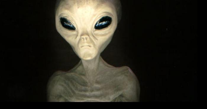 Un extraterrestre dans la foret de Villers Cotterets