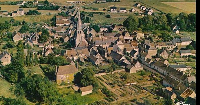 Couture-sur-Loir : Une invasion d'araignées