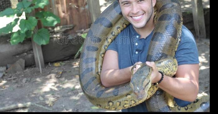 Un anaconda de 6 mètres aux alentours du lac de Sainte Croix