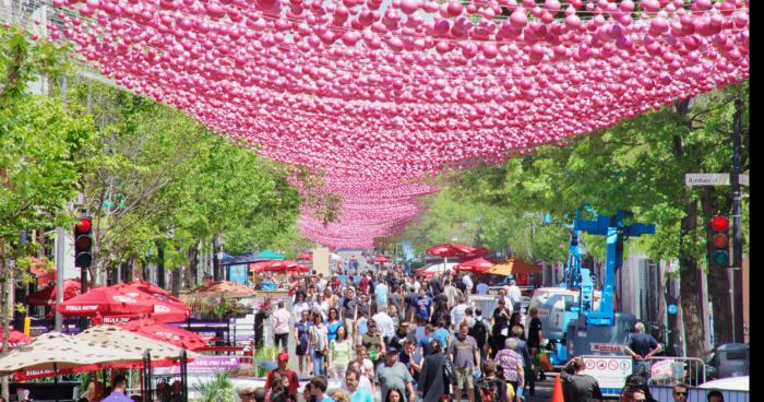 La SDC du Village démentèle les Boules Roses