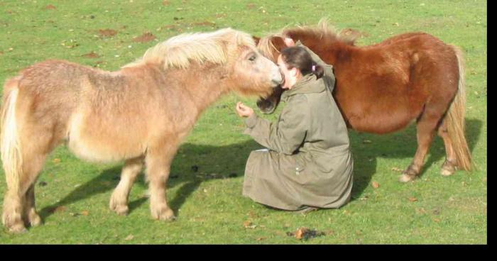 Le poney toujours plus meurtrier dans les Alpes-Maritimes.