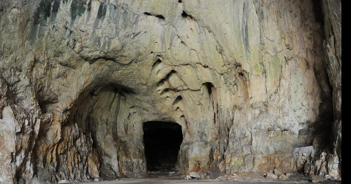 Violé en tournante dans sa cave jeun