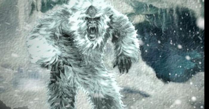 Un yeti dans les laurentide