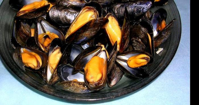 Les moules des êtres longtemps sous-estimés