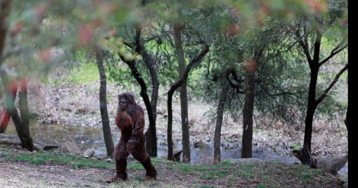 Un bigfoot en France ?