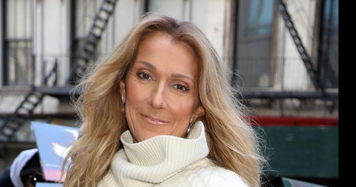 Céline Dion arrête définitivement sa vue d'artiste