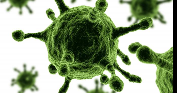 Un virus mortel fait son apparition en Eurore!