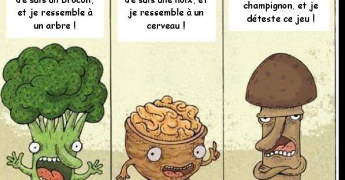 Les legume