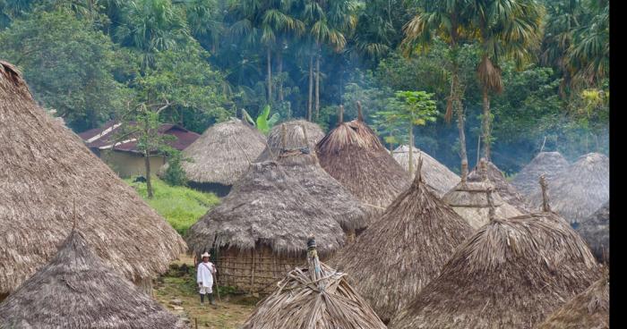 Une classe de 2nd mange des humains au Brézil