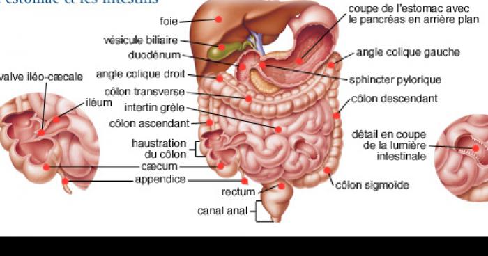 Cligner des yeux est mauvais pour la digestion