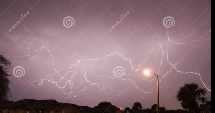 Tempête d'araignée a Paris