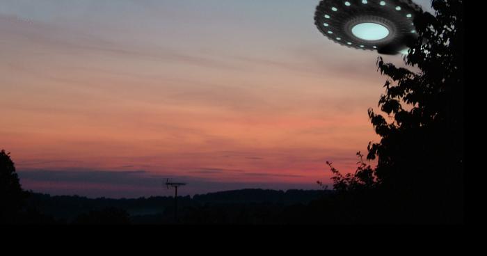 Rassemblement d'étranges créatures