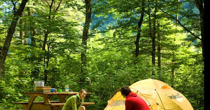 Vol au Camping Camp d'Accueil