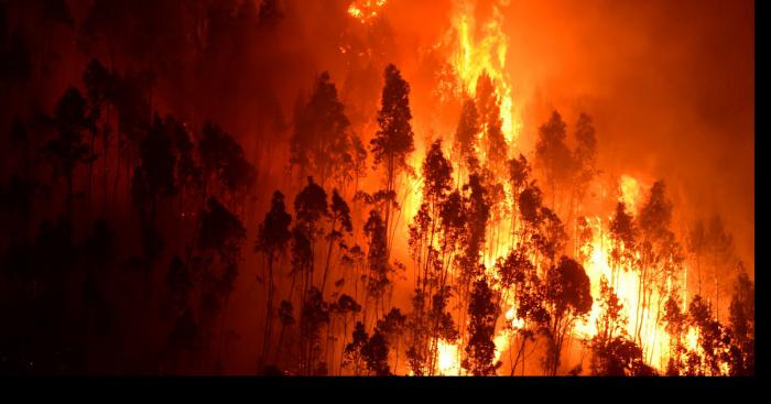 Grabels : il éteint 80 hectares en feu, avec sa bite !