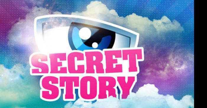 Pas de saison 10 pour secret story !