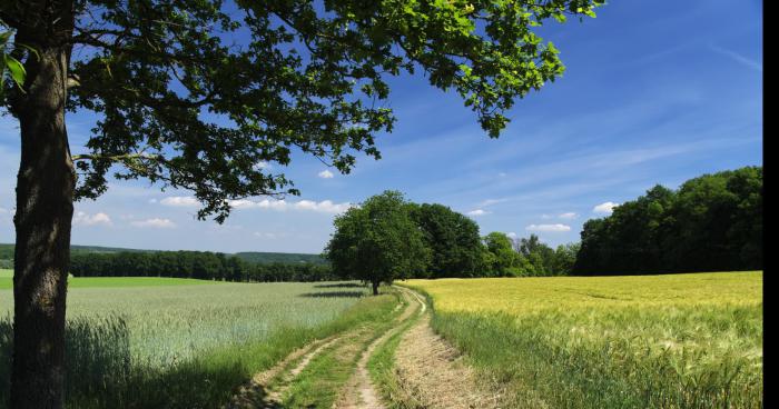 Jeune nue en milieu rural secteur Ste-Cécile-De-Lévrard.