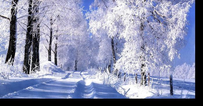 Neige en plaine