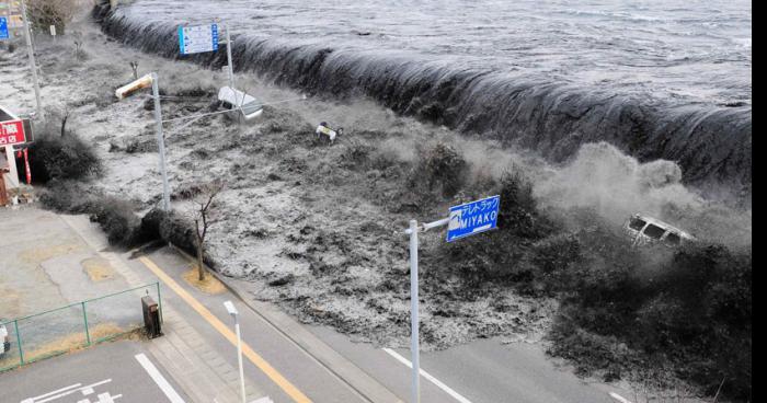 Un tsunami va traversée bruxelle !!!