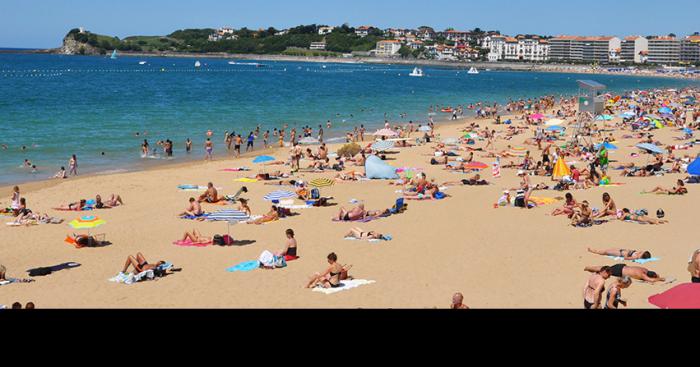 Attaque requin tigre Saint Jean de Luz