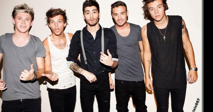 Harry Styles quitte les One direction !