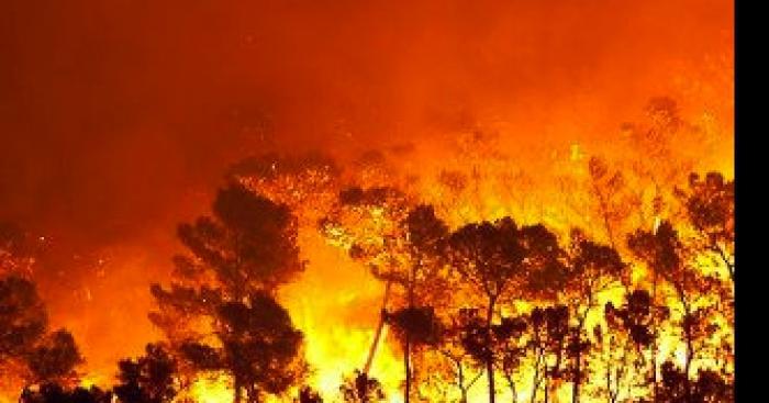 La Rochelle : Le barbecue dégénère, 120 hectares de brûlé