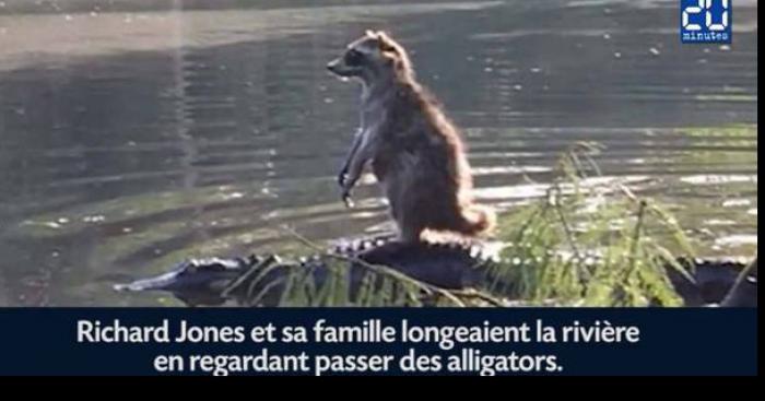 ALERTE//-L'INVASION DES RATONS-\ALERTE