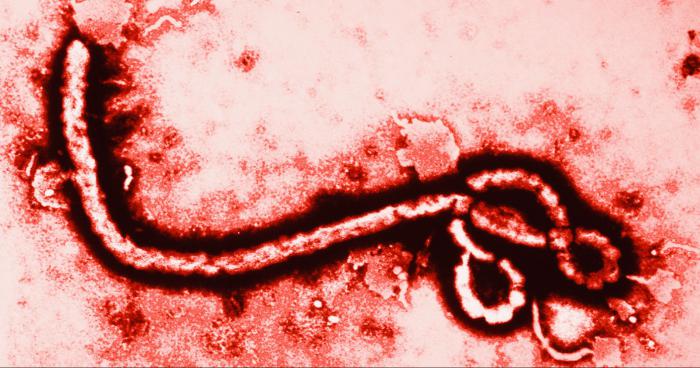 Ebola - ALERTE de SANTÉ CANADA