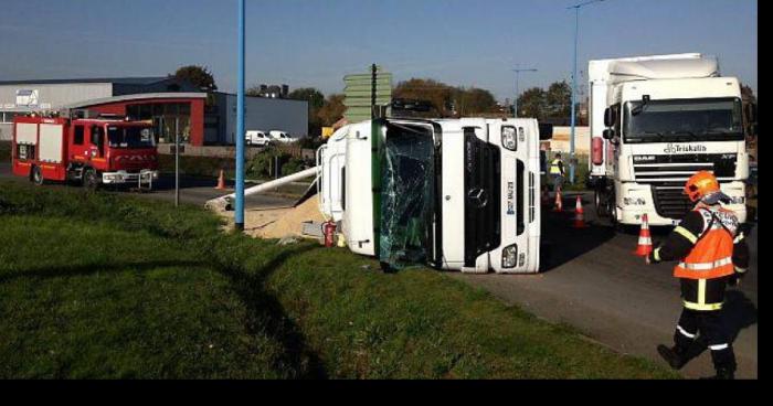 Un camion transportant des milliers de serpents, accidenté !