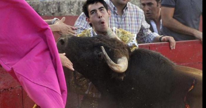 Le matador de renom Juan Mateo redoute la cornada