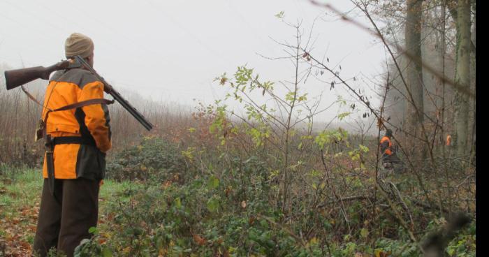 7 personnes morte,les chasseurs penser que c etait un groupe de sanglier