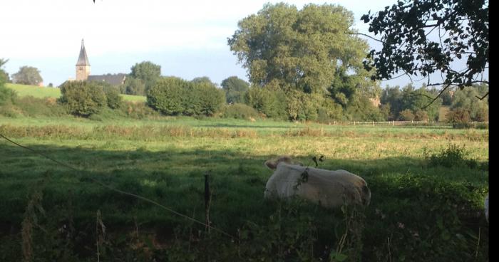 Un investisseur sème le trouble dans un hameau