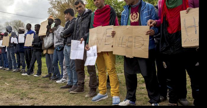 Accueil des migrants