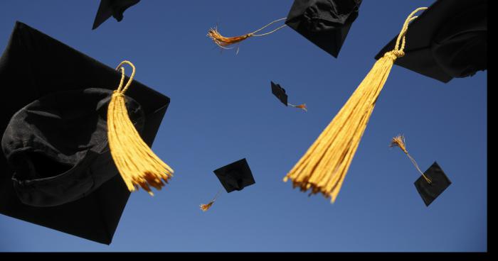 Diplomation à l'Université