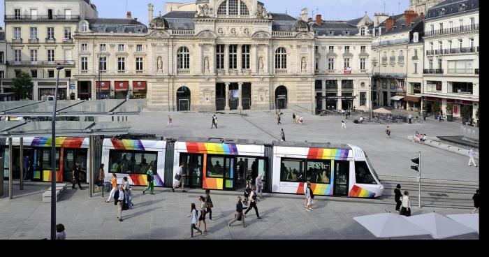 Des centaines de mygales déjà à Angers